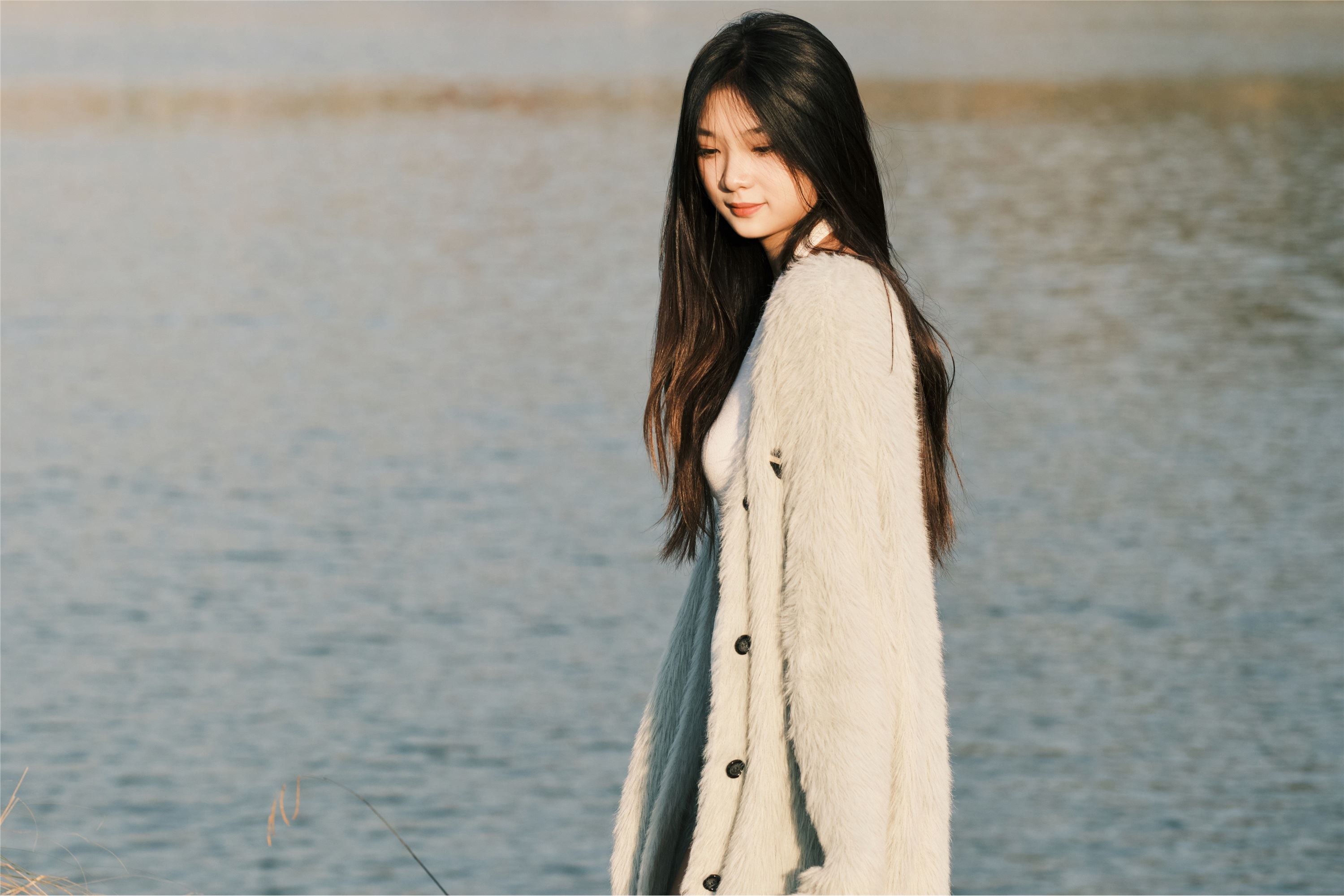 YITUYU艺图语 2025.01.03 湖边 一只狸猫